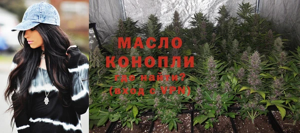 стафф Вяземский