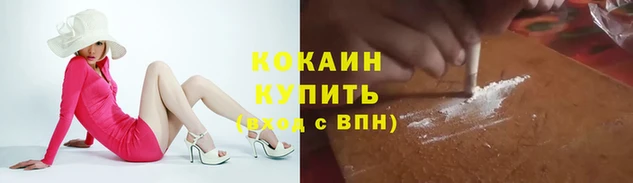 стафф Вяземский